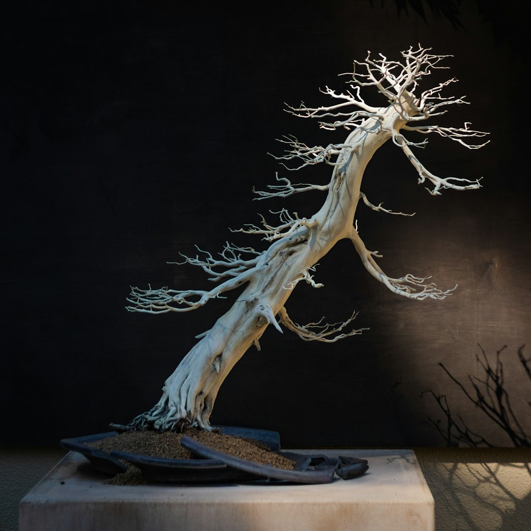 brown tree branch on book brown tree branch on book