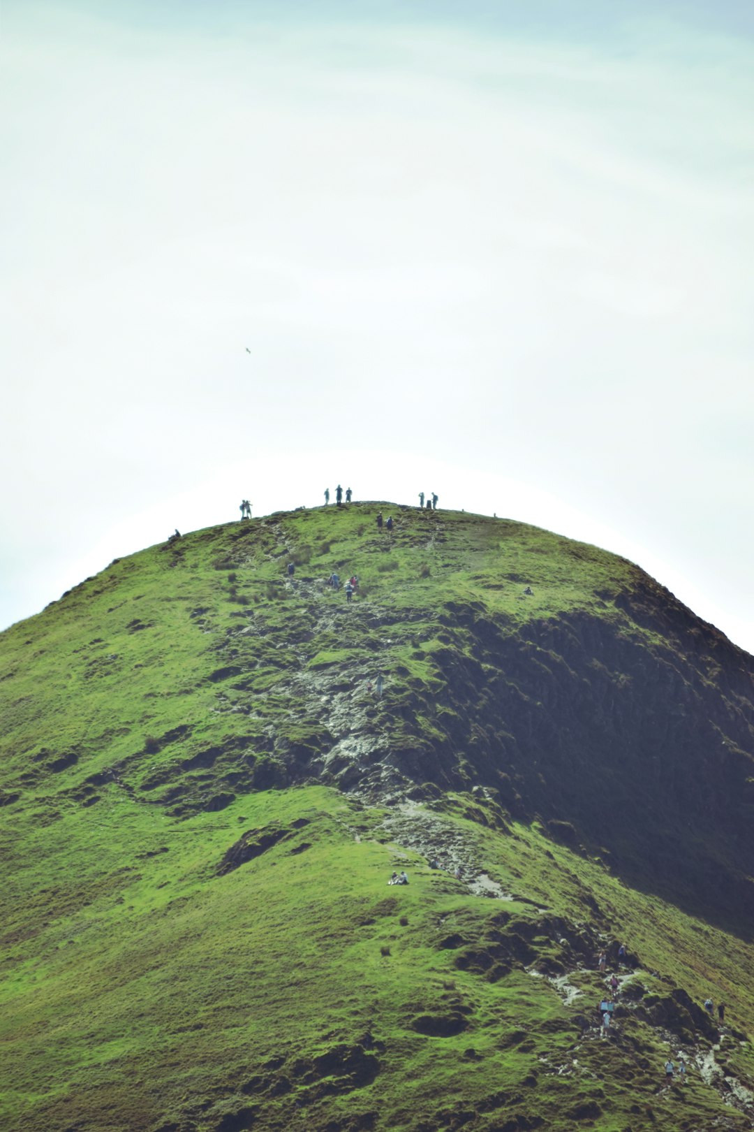 people standing on green mountain during daytime people standing on green mountain during daytime